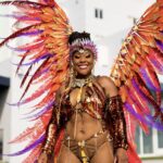 Miami Carnival Costume